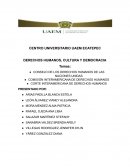 DERECHOS HUMANOS, CULTURA Y DEMOCRACIA