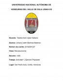 Microeconomía Actividad 1, Ejercicio Propuesto