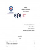 Anexos Informe EFE Estrategias Corporativas