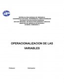 Resumen Operacionalización de las Variables