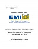 PROPUESTA DE DISEÑO INTEGRAL DE ALTERNATIVAS DE SOLUCIÓN PARA LA AMPLIACIÓN DE LA FRANJA DE SEGURIDAD EN LA PISTA 10 DEL AEROPUERTO INTERNACIONAL DE EL ALTO