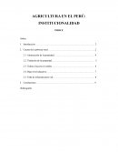 Agricultura en el Perú: Institucionalidad