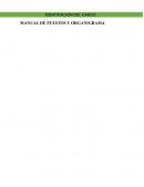 MANUAL DE PUESTOS Y ORGANIGRAMA