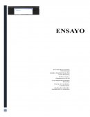 Báses filosóficas en enfermeria