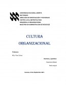 Cultura organizacional y sus principales componentes y valores