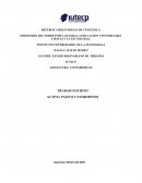 Activo, pasivo y patrimonio. La ecuacion patrimonial