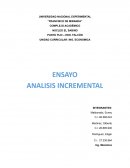 Análisis incremental