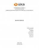 Marketing de pequeños negocios BLOCK´S HOUSE