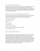 Que es y que hace un ingeniero en sistemas computacionales