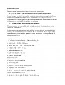 Biofísica Funcional Estequiometria. Relaciones de masa en reacciones bioquímicas