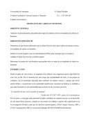 Ensayo Trasplante de Cabeza en Humanos