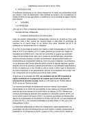 Embarazo adolescente en el Perú