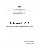 Proyecto de ingenieria economica Entrenvio C.A