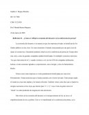 Economia del Desastre