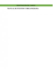 MANUAL DE PUESTOS Y ORGANIGRAMA. Página 1