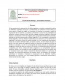 Informe Células Animales y Vegetales