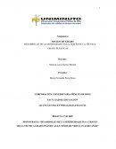 DESARROLLO DE LA MOTRICIDAD FINA A TRAVÉS DE LA TÉCNICA GRAFO PLÁSTICAS