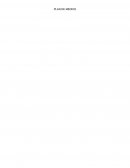 PLAN DE MEDIOS TABLA DE CONTENIDO