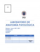 LABORATORIO DE ANATOMÍA PATOLÓGICA