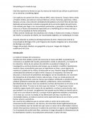 Storytelling en la moda y el lujo