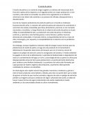 Aceite de palma. Un pueblo indonesio bajo el aceite de palma