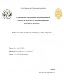 La Cannabis Sativa como alternativa medicinal para combatir la depresión