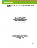 EVALUACIÓN Y ANÁLISIS DE LA DISCAPACIDAD VISUAL DE LA COMUNIDAD