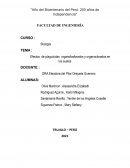 Efectos de plaguicidas organofosforados y organoclorados en los suelos