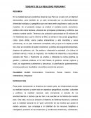 ENSAYO REALIDAD PERUANA