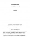 Evidencia 2: “Matriz de riesgos”