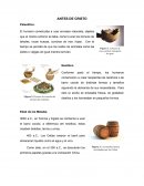 La evolución del envase