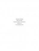 Gestión de logística y abastecimiento. Almacenaje o bodegaje