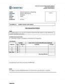 Modelo de brief empresa GLORIA SA