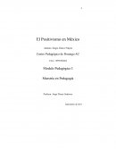 Ensayo el positivismo en México