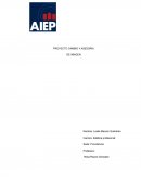 PROYECTO CAMBIO Y ASESORIA DE IMAGEN