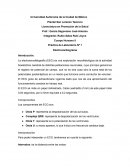 Práctica de Laboratorio Nº 1 Electrocardiograma