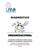 Diagnostico organizacional. Analisis de las tablas esquematicas