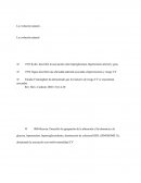 SINDROME METABOLICO
