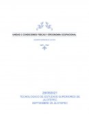 Requerimientos físicos del empleo (ergonomía)