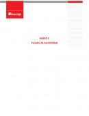 ANEXO C Estudio de Factibilidad