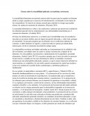 Ensayo sobre la trazabilidad aplicada a la medicina veterinaria