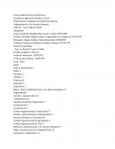 Caso Chaparral Steel