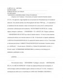 CAPÍTULO 14 – SISTEMA RESPIRATORIO