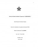 Informe de Gestión Ambiental Empresa de “ALMIDONESSLJ”
