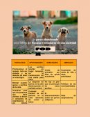 Perros abandonados FODA
