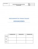 PROCEDIMIENTO DE TRABAJO SEGURO EXCAVACIONES