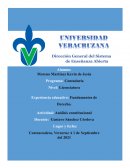 ANALISIS CONSTITUCIONAL, derechos humanos y de igualdad sustantiva
