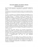 Percepcion del paisaje psicología ambiental