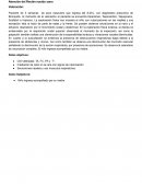 PAE Bronquitis en recién nacido