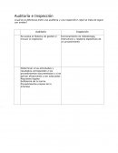 Auditoría e Inspección ¿Cuál es la diferencia entre una auditoria y una inspección? ¿Qué se trata de lograr con ambas?